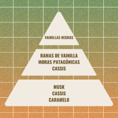 Vela de soja #02 con fragancia a Vainilla y Frutos patagónicos (Pirámide olfativa).