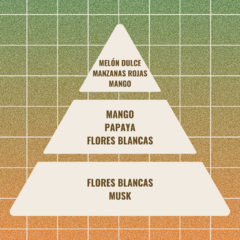 Vela de soja #03 con fragancia a Mango, Papaya y Flores blancas (Pirámide olfativa).