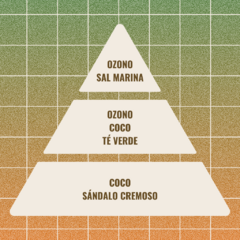 Vela de soja #05 con fragancia a Ozono, Coco, Té verde y Sándalo cremoso (Pirámide olfativa).