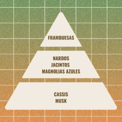 Vela de soja #01 con fragancia a Nardo, Jacintos y Magnolias azules (Pirámide olfativa).