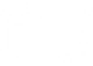 Gook