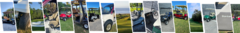 Banner de la categoría Carros de Golf Usados