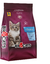 Br4cats Filhotes Premium frango com arroz - comprar online