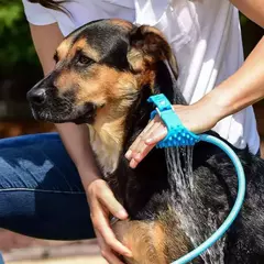 Chuveiro Mangueira Pet para Cães e Gatos