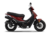 ZANELLA ZB 125 CC R en internet