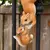 Criativa Escalada Rope Squirrel Figurine, Perfeito para jardim e decoração ao ar livre, 1Pc na internet