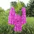 Imagem do Artificial Wisteria Flores String, Guirlanda de suspensão, Decoração ao ar livre do arco do jardim do casamento, Decoração Home Party, Flor Falsa, 12Pcs