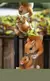 Criativa Escalada Rope Squirrel Figurine, Perfeito para jardim e decoração ao ar livre, 1Pc - comprar online