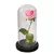 Galáxia Rosa Flores Artificiais, A Bela e a Fera, Decoração de casamento, Criativo Dia dos Namorados, Presente da Mãe, Drop Shipping - comprar online