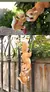 Criativa Escalada Rope Squirrel Figurine, Perfeito para jardim e decoração ao ar livre, 1Pc - loja online