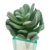 Suculenta Echeveria Artificial Decorativa 13cm - comprar online