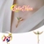 Collar de Acero Inoxidable, SailorMoon