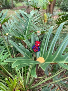 Pin spiderman