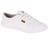 TENIS MOLECA CASUAL NAPA REF 5605.463.7800 FEMININO - loja online