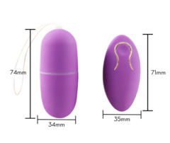 CAPSULA VIBRATORIA COM CONTOLE na internet