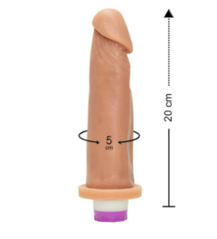 PENIS COM VIBRO 20 X 5CM - comprar online