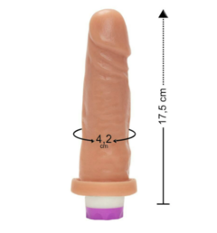 PENIS COM VIBRO 17,5 X 4,2 CM na internet