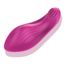 VIBRADOR DE CALCINHA POR APP na internet