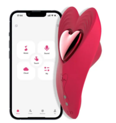 VIBRADOR DE CALCINHA POR APP