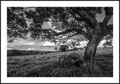 Fotografias do Cerrado em Fine-Art - comprar online