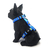 Peitoral H Anti-Puxão Booty Blue para Cães - comprar online