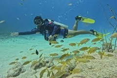 BUCEO POSEIDON SAN ANDRES - tienda online