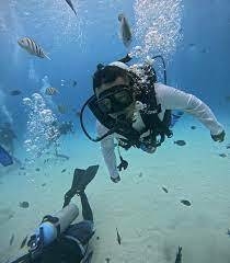 BUCEO POSEIDON SAN ANDRES en internet