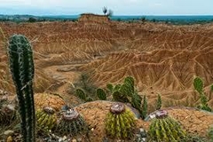 Desierto de la Tatacoa - dkviajesquindio