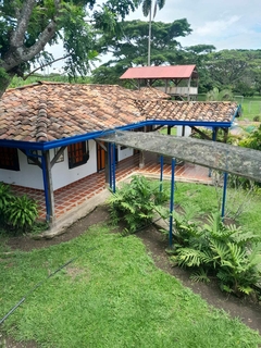 Imagen de FINCA LA MEJORANA