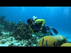 Imagen de BUCEO POSEIDON SAN ANDRES