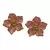 Brinco Flor Margarida Resina Rose Ouro 18k