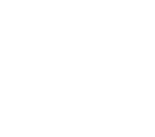 Zorro Azul Estudio