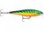 ISCA ARTIFICIAL BX MINNOW BXM-10CM