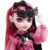 Fashion Doll Draculaura, Monster High - acessórios e animais de estimação - comprar online