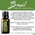 Basil Óleo Essencial Ocimum basilicum (Manjericão) 15ML - comprar online