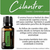 Cilantro Aroma Natural de Coentro 5ml - comprar online