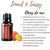 doTERRA Smart & Sassy® Aroma Natural Cítrico e Herbáceo 5ml na internet