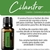 Cilantro Aroma Natural de Coentro 15ml - comprar online