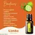 Lime Óleo Essencial Citrus aurantifolia (Limão) 15 ml - comprar online