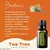 Melaleuca Óleo Essencial Melaleuca alternifolia (Tea Tree) 15ml - comprar online