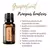 Grapefruit Aroma Natural de Toranja 15ml - comprar online