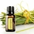 Lemongrass Óleo Essencial Cymbopogon flexuosus (Capim-Limão) 15ml - comprar online