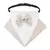 Smoking bandana formal para cães com gravata borboleta, roupa de casamento, ace na internet