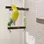 Madeira Bird Swing Training Toy com Sino Suspenso para Calopsitas, Stand Play Gy - Planeta Pet Shop