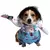 Engraçado Pet Dog Cosplay Roupas, Novidade Puppy Halloween Costumes, Camisola d - Planeta Pet Shop