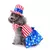 Halloween Xmas Pet Dress Up Clothes, Roupa para cães e gatos, Casaco de Natal,