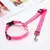 Dois-em-um ajustável Car Seat Belt para Cães, Nylon Leash chumbo, Backseat Cin