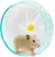 Hamster Disco Running Toy 3 Tamanho Silencioso Pequeno Pet Rotatório Jogging Wh na internet