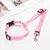 Dois-em-um ajustável Car Seat Belt para Cães, Nylon Leash chumbo, Backseat Cin