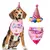 Decoração Feliz Aniversário para Animais de Estimação, Traje De Cão, Chap? - Planeta Pet Shop